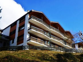 Pet-friendly apt with mountain views